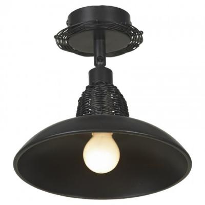 Потолочный светильник Lussole Loft LSN-1077-01