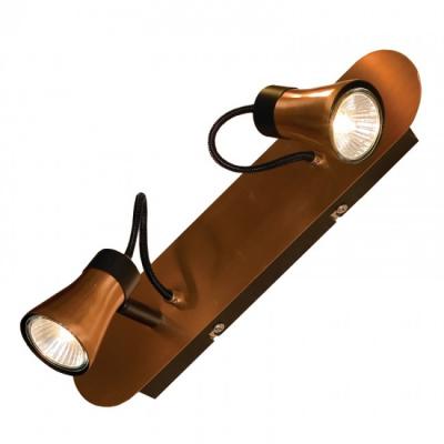 Настенно-потолочный светильник Lussole Loft LSL-6801-02