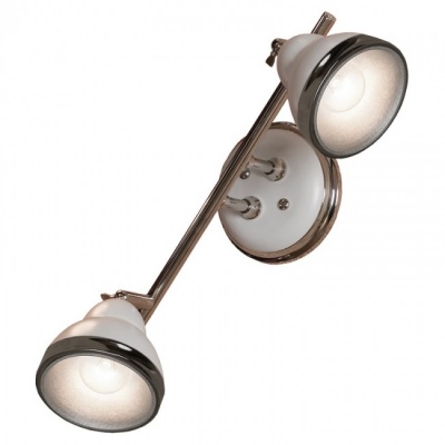 Точечный светильник Lussole Loft LSN-6201-02