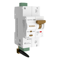 Умный автоматический выключатель 1P 63A C 6kA Werkel W1001P6301