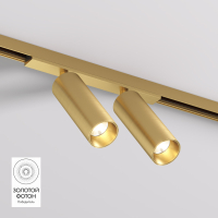 Трековый светильник Denkirs Shine Spot DK5742-SB