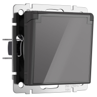 Розетка влагозащищенная с крышкой и шторками Werkel W1171244 графит акрил