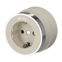 Розетка с заземлением Werkel Vintage W5871055 слоновая кость матовый/хром