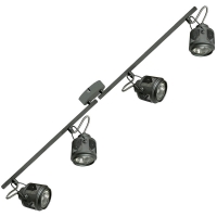 Lussole Loft Haines LSP-8047 точечный светильник