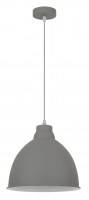 Светильник подвесной Arte Lamp A2055SP-1GY