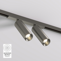Трековый светильник Denkirs Shine Spot DK5742-DN