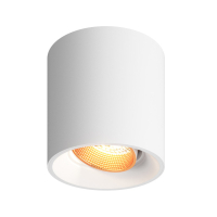 Накладной точечный светильник Denkirs Rodvig DK3090-WBR