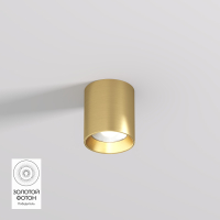 Накладной точечный светильник Denkirs Shine Tube DK2610-SB