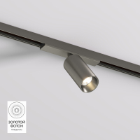 Трековый светильник Denkirs Shine Spot DK5740-DN