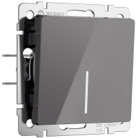 Выключатель одноклавишный проходной с подсветкой Werkel W1112144 графит акрил