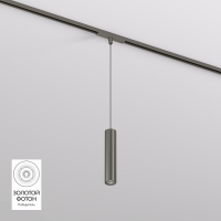 Трековый светильник Denkirs Shine Spot DK5744-DN