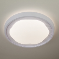 Eurosvet 40005/1 LED потолочный светодиодный светильник белый
