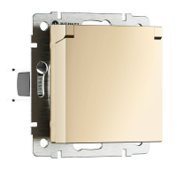 Розетка влагозащищенная с защитной крышкой N Werkel W1171211 шампань