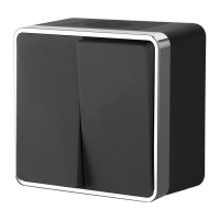 Выключатель двухклавишный влагозащищенный Werkel Gallant W5020235 черный/хром