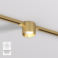 Трековый светильник Denkirs Shine Spot DK5743-SB