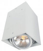 Светильник накладной потолочный Arte Lamp CARDANI A5936PL-1WH