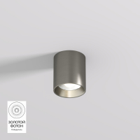 Накладной точечный светильник Denkirs Shine Tube DK2610-DN