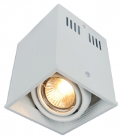 Светильник накладной потолочный Arte Lamp CARDANI A5942PL-1WH