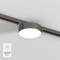 Трековый светильник Denkirs Shine Flow DK5762-DN