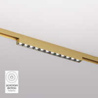 Трековый светильник Denkirs Shine Grill DK5771-SB