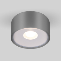 Elektrostandard Light LED 2135 35141/H уличный потолочный светодиодный светильник серый
