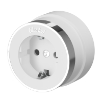 Розетка с заземлением Werkel Vintage W5871050 белый матовый/хром