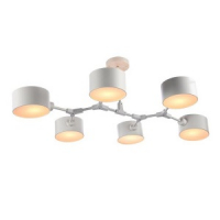 Evoluce Gimento SLE183502-06 светильник потолочный