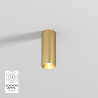 Накладной точечный светильник Denkirs Shine Tube DK2615-SB