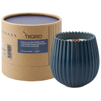 Свеча ароматическая Tkano Edge с деревянным фитилём Hugs and Cookies, синий