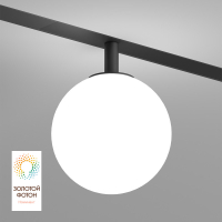 Трековый светильник Denkirs Smart Moon DK8050-BK