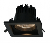 Светильник встраиваемый потолочный светодиодный Arte Lamp A7007PL-1BK