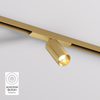 Трековый светильник Denkirs Shine Spot DK5740-SB