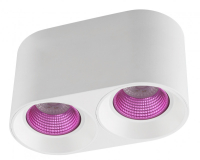 Накладной точечный светильник Denkirs Rodvig DK3096-WH+PI