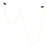 Трековый подвесной светильник магнитный Maytoni Tau TR101-2-100W3K-B