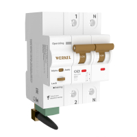 Умный автоматический выключатель 2P 63A C 6kA Werkel W1002P6301