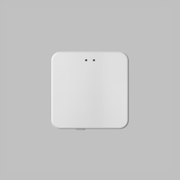 WI-FI конвертер Denkirs Control BT DK7401-WF