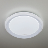 Eurosvet 40013/1 LED потолочный светодиодный светильник белый
