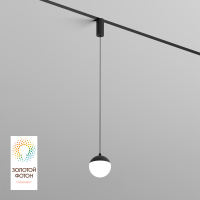 Трековый светильник Denkirs Smart Moon DK8056-BK