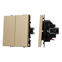 Двухклавишный выключатель без фиксации Arlight Nobe 054274 золото