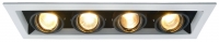 Светильник встраиваемый Arte Lamp CARDANI A5941PL-4WH