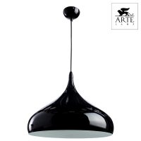 Подвесной светильник Arte Lamp CAPPELLO A3266SP-1BK