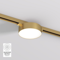 Трековый светильник Denkirs Shine Flow DK5762-SB