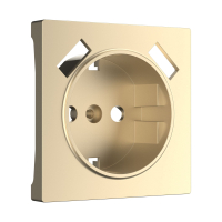 Накладка для USB розетки Werkel W1179511 шампань