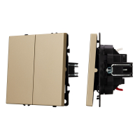 Выключатель двухклавишный встраиваемый Arlight Nobe 054253 золото