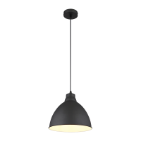 Светильник подвесной Arte Lamp BRACCIO A2055SP-1BK