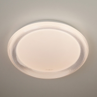 Eurosvet 40012/1 LED потолочный светодиодный светильник белый