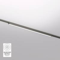 Трековый светильник Denkirs Shine Linear DK5752-DN