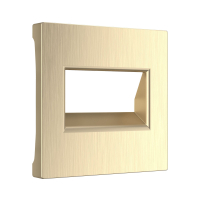 Накладка для двойной розетки Еthernet RJ-45 Werkel W1191110 шампань рифленый