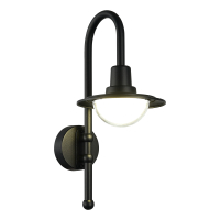 Настенный уличный светодиодный светильник St Luce Proche SL9512.401.01