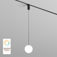 Трековый светильник Denkirs Smart Moon DK8052-BK